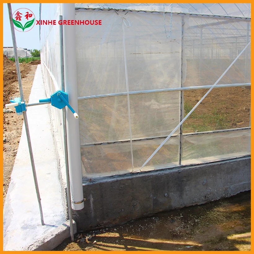 Tunnel Multi Span Garden Warm Agro Greenhouse