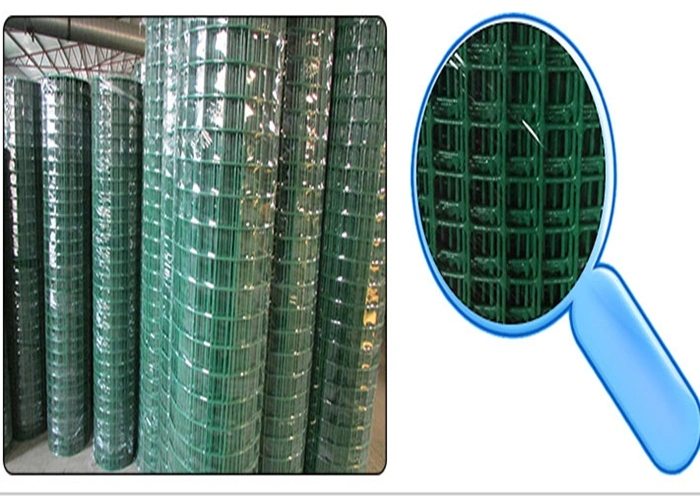 Dark Green PVC Coated Welded Wire Mesh /3/4'' Green PVC Welded Wire Mesh