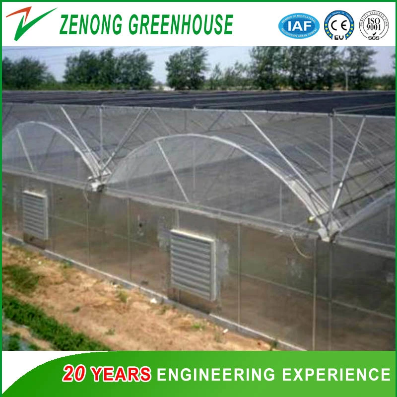 China Made High quality/High cost performance Plastic Film Green House for Growing Vegetables/Flowers/Eco Restaurant