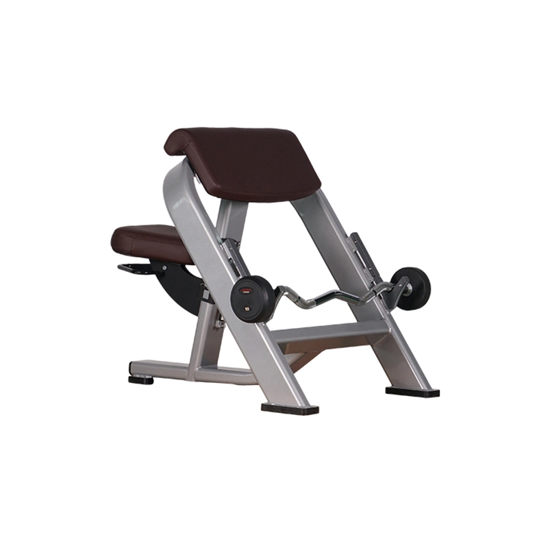 Lmcc Best Selling Arm Curl Bench Biceps Brachii Train Fitness Equipment Commercial Exercise Equipment