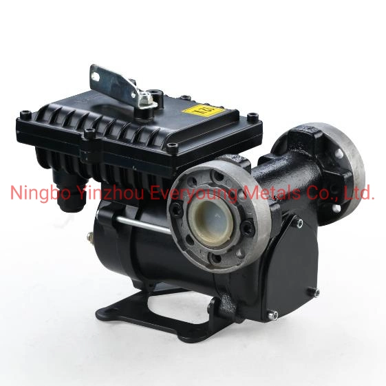 Fuel Transfer Pump 12V DC Gasoline Dispensing Equipment Petrol Transfer Pump