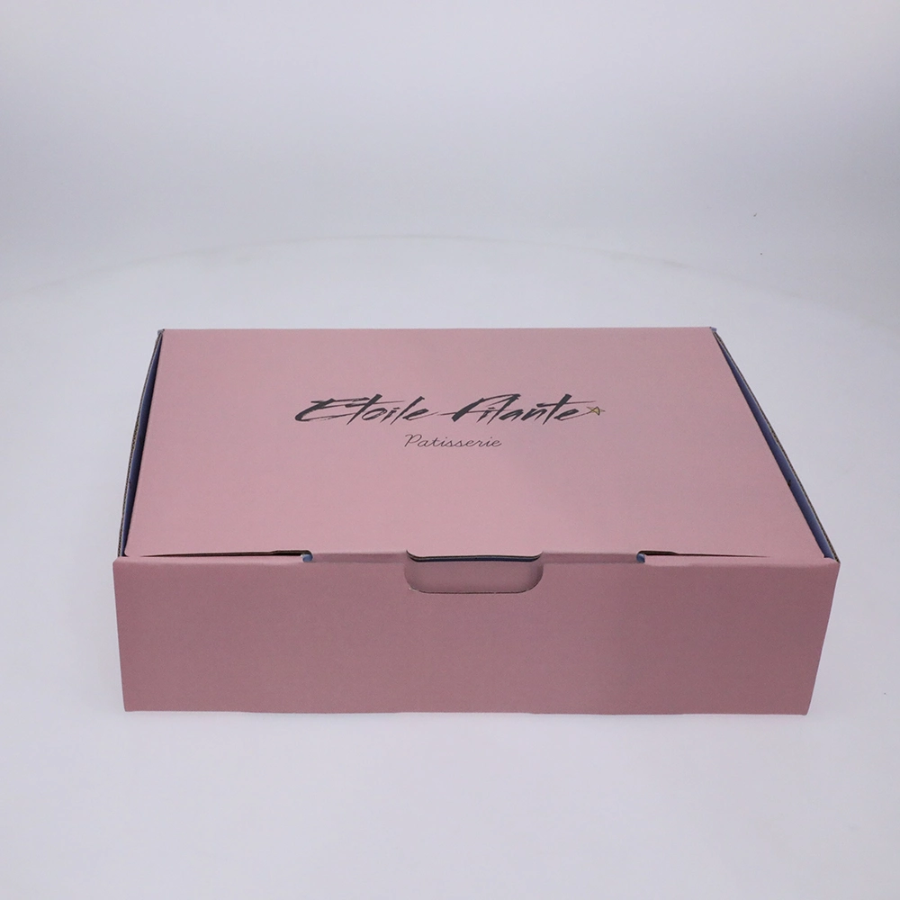 Custom Logo Pink Retail Lingerie Sleepwear Underwear Gift Package Mailing Box Luxury Cardboard Clothing Packaging Paper Boxes>= 1 Pieces