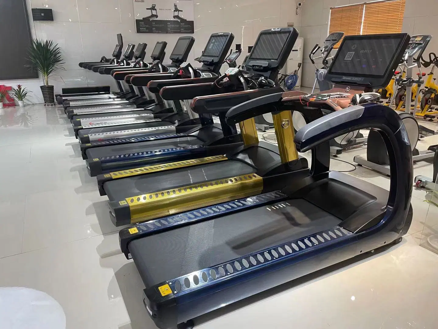 Luxury Gym Use Wholesale/Supplier Commercial Treadmill (RCT-900)