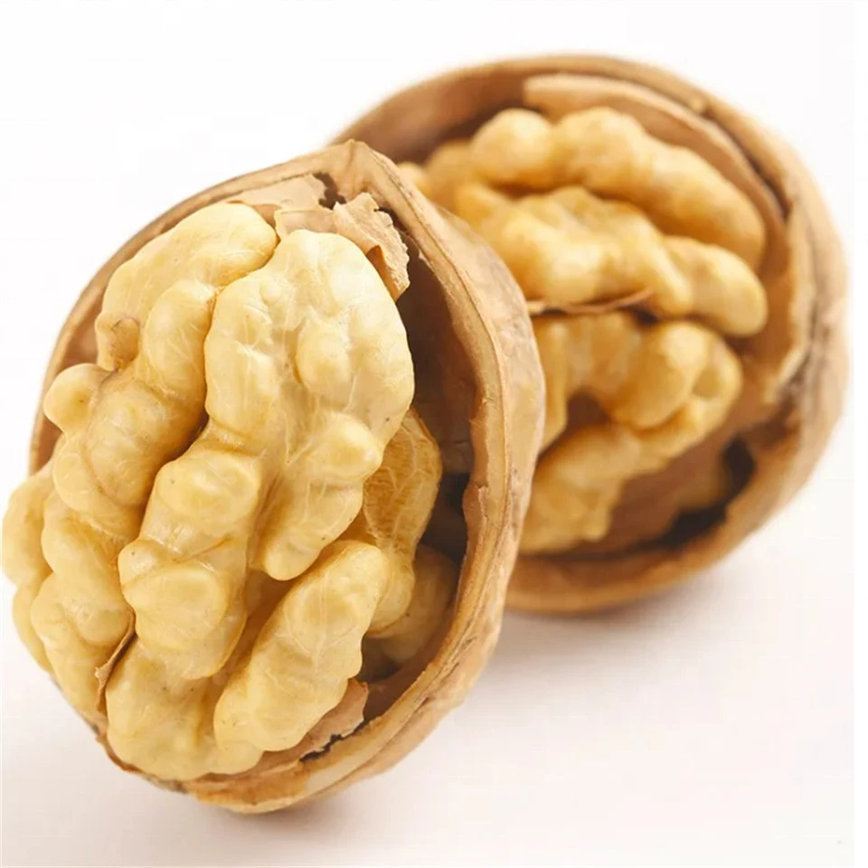 Cheap Dried Organic Raw Walnuts Available for Sale