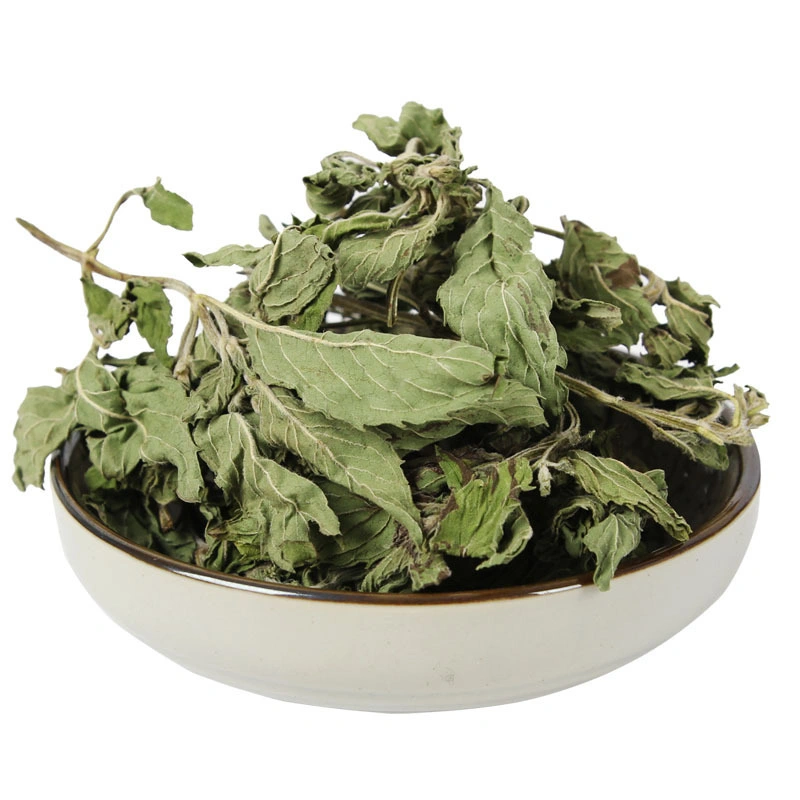 Helath Care Leaf Tea Peppermint Green Bulk Supply Herb Medicine Mint with Special Fragrance