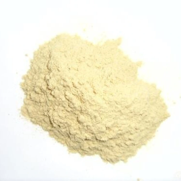 Levedura de grau alimentar Beta Glucan Extract levedura Beta-Glucan Powder