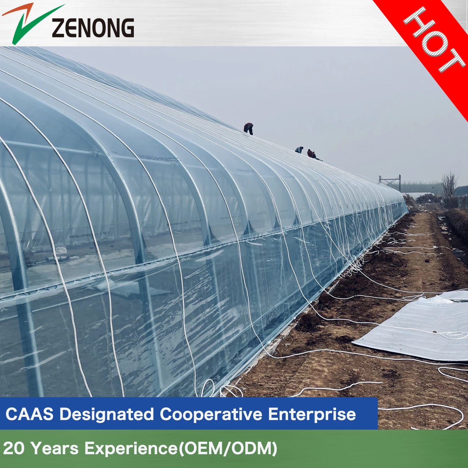 Bolt Connection Air Insulation Wall Sunlight Greenhouse with Heat Accumulation Plates for High-Latitude Region Winter Vegetables/Flowers/Hydroponics Culture