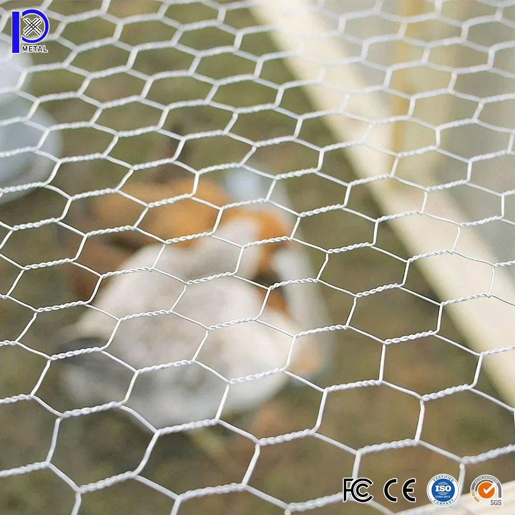 China Pengxian Vinyl Chicken Wire Hersteller 1 - 1/2 Zoll Drahtgeflecht Verzinktes Netz hexagonales Drahtgeflecht für Netz Stützwand Gabion