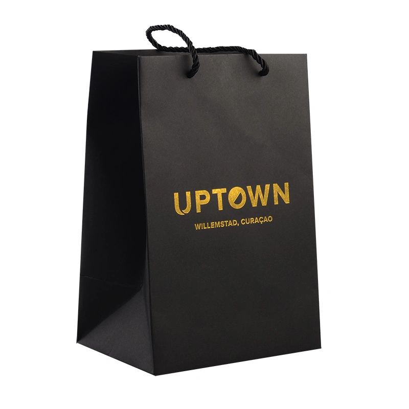 Wholesale/Supplier Luxury High quality/High cost performance  PP Handle Paper Shopping Packaging Bags with Ribbon Closure for Clothing / Apparel/ Gift