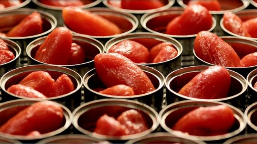 Yummy Canned Food Peeled Tomato in Tins