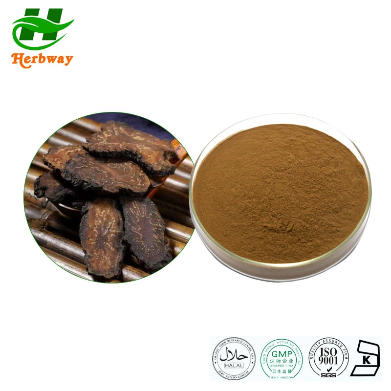 Herbway الطبيعية بمستخرج عشبي Cistanche Deserticola Powder 4: 1 Cistanche Tubulosa الاستخراج