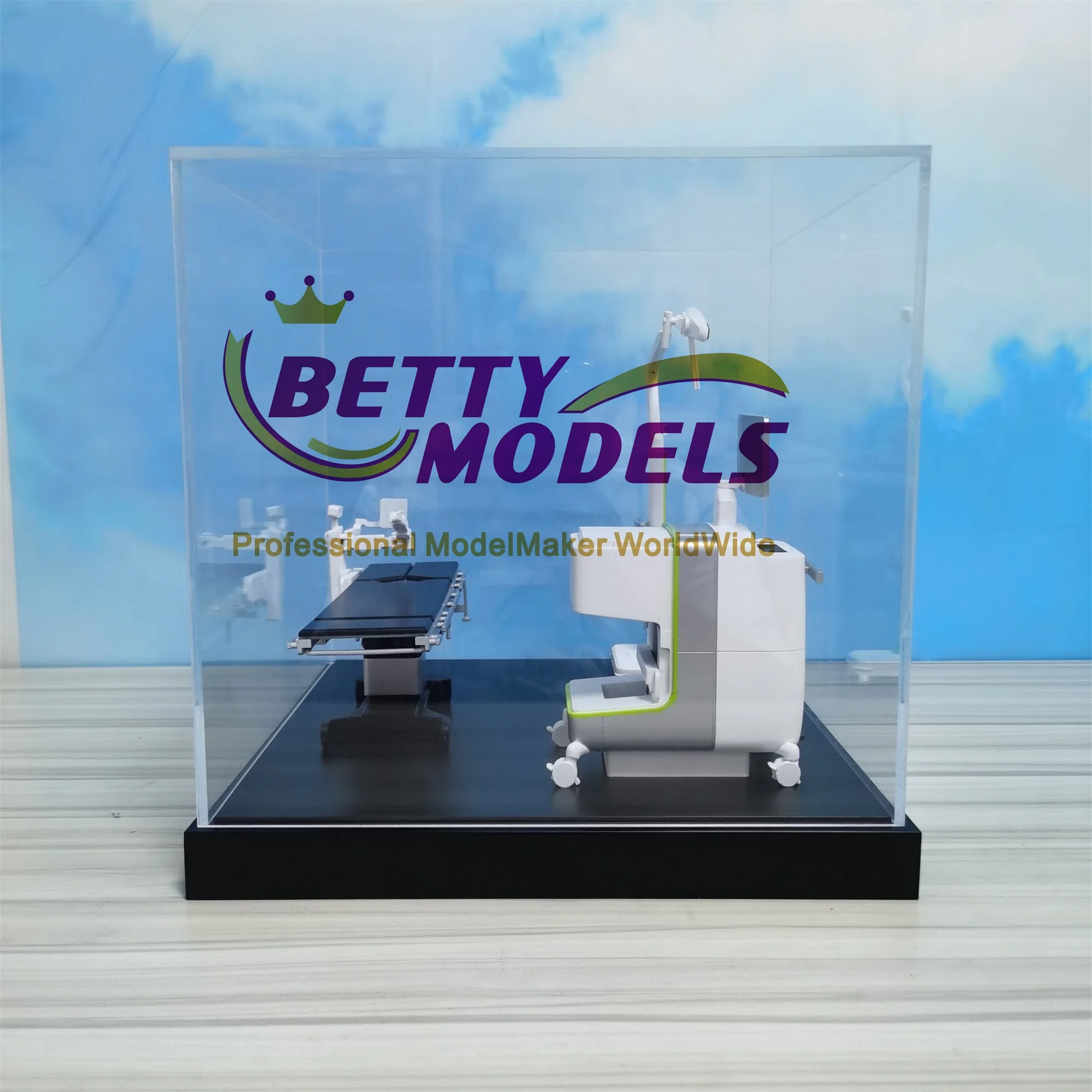 Perfect Medical Teaching Model with Customized Scale and Colour