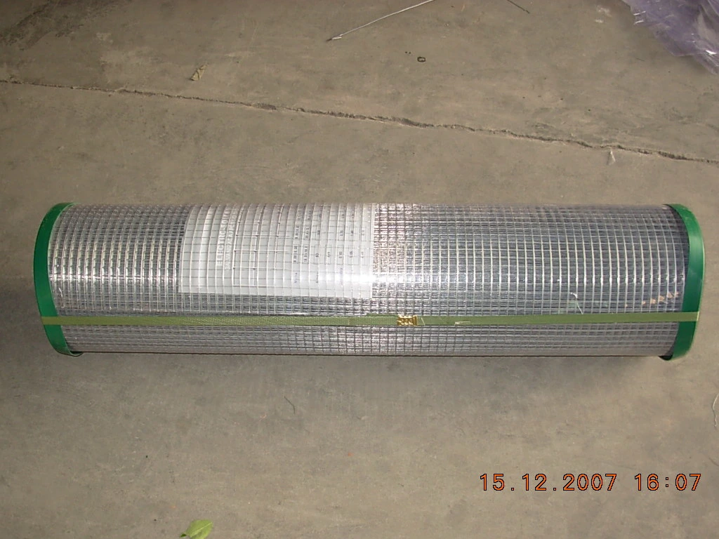PVC Coated Hot-Dipped Galvanized Welded Wire Mesh for Security