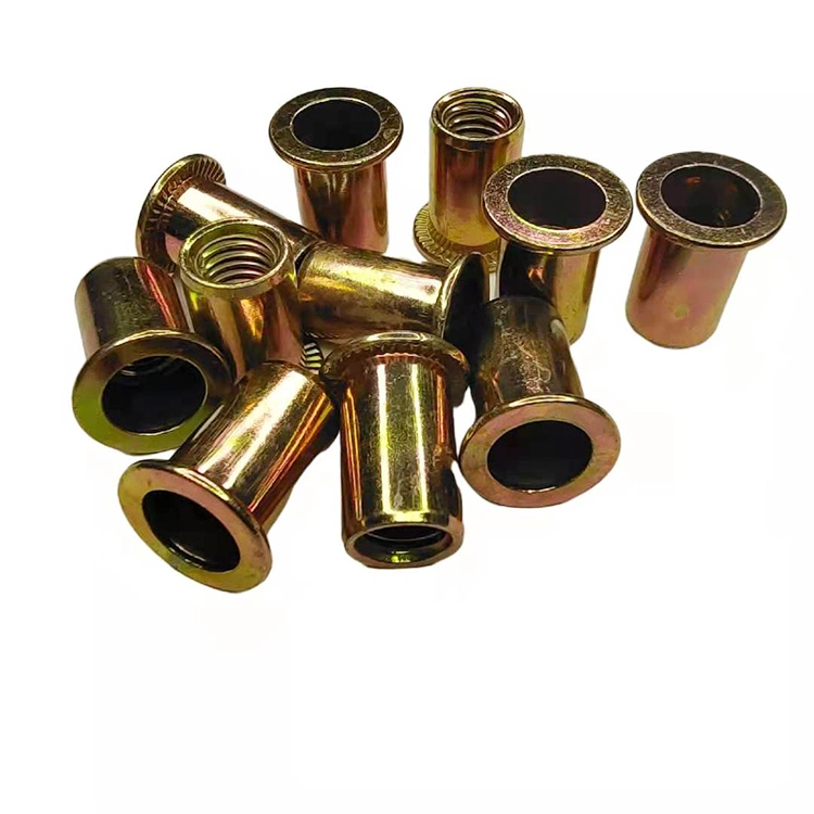 China Custom Blind Rivet Nut Countersunk Flat Head Rivet Nut