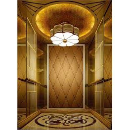 Luxury Decoration Stainless Steel Passenger Elevator Lift