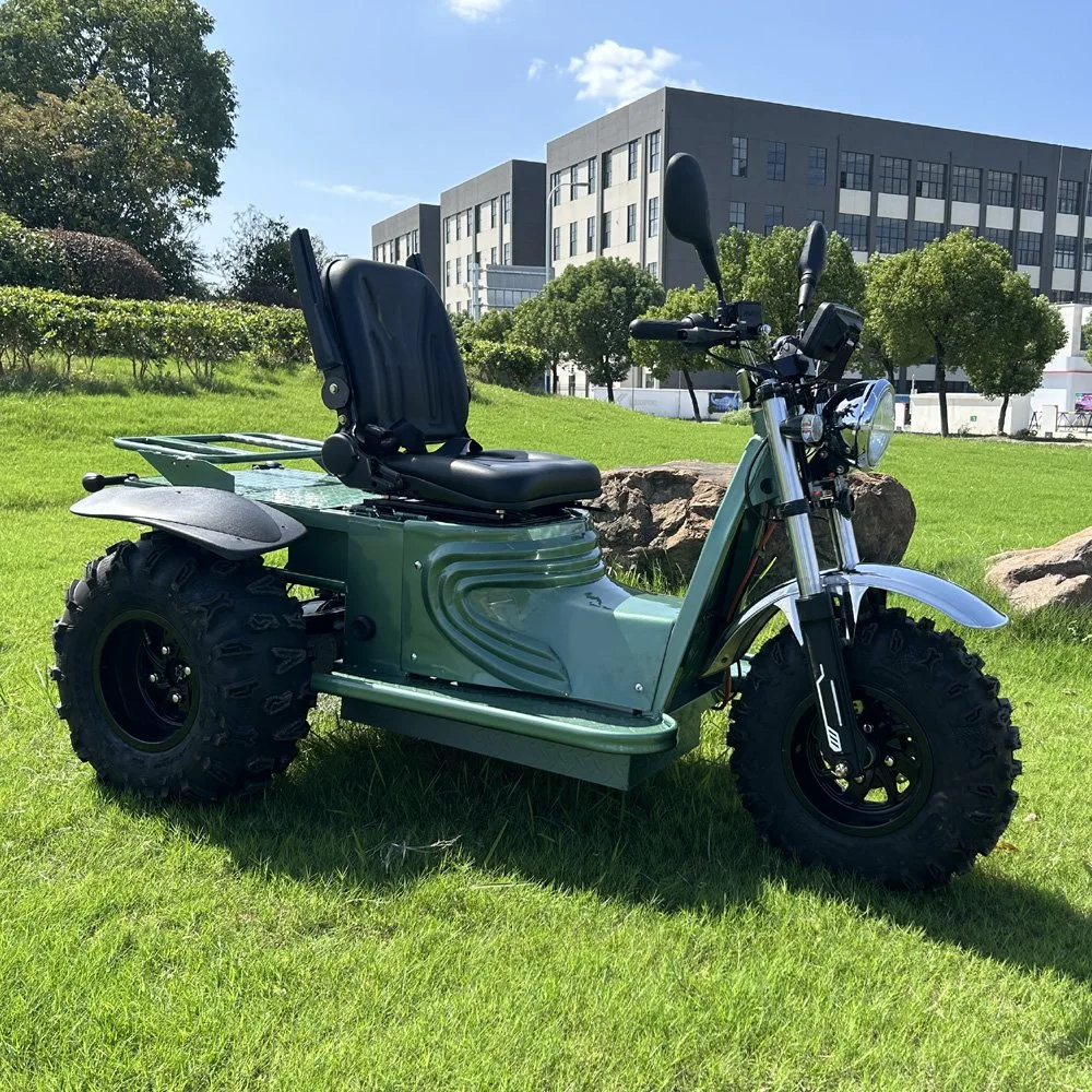 Scooter de mobilidade elétrica todo-o-terreno de 3 rodas com CE