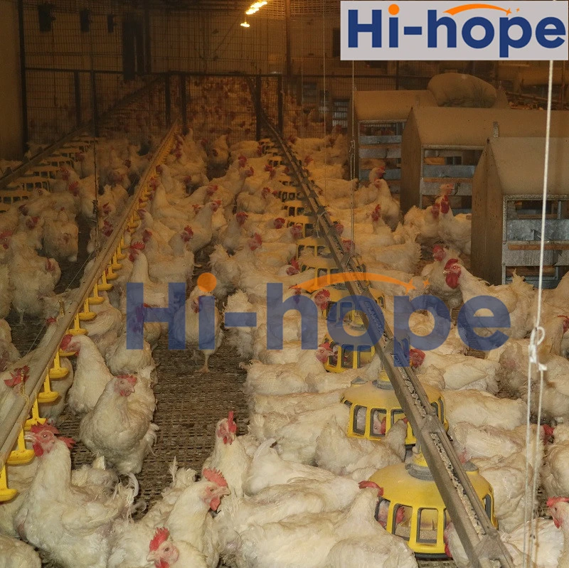 Automatic Chicken Nipple Drinker Broiler Waterer Drinking System