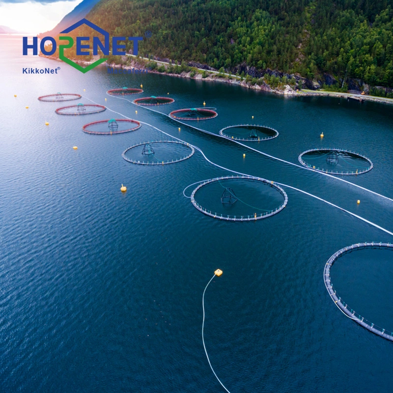 Hopenet Aquaculture Trap Fish Farm Net Cage Plastic Net Aquaculture Mesh