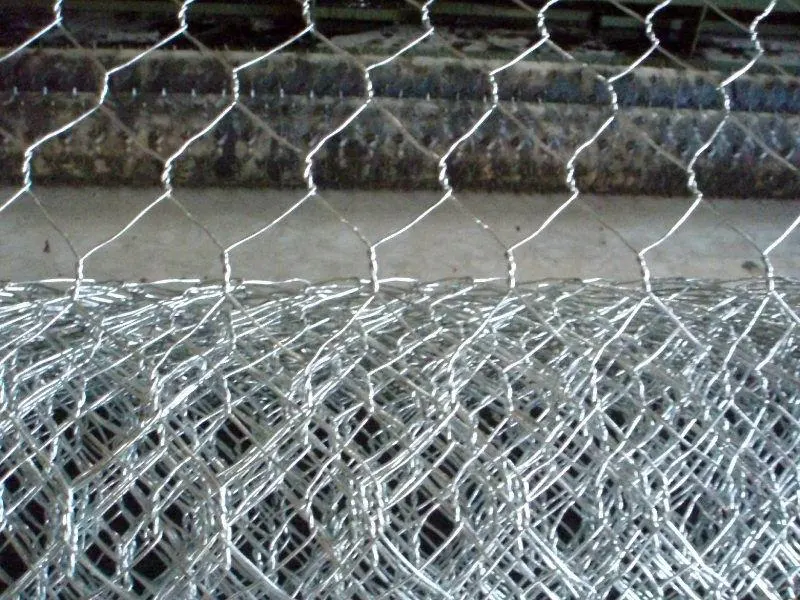 Fil de fer galvanisé maille hexagonale et le poulet de Wire Mesh et 1 pouces avec SGS en provenance de Chine usine