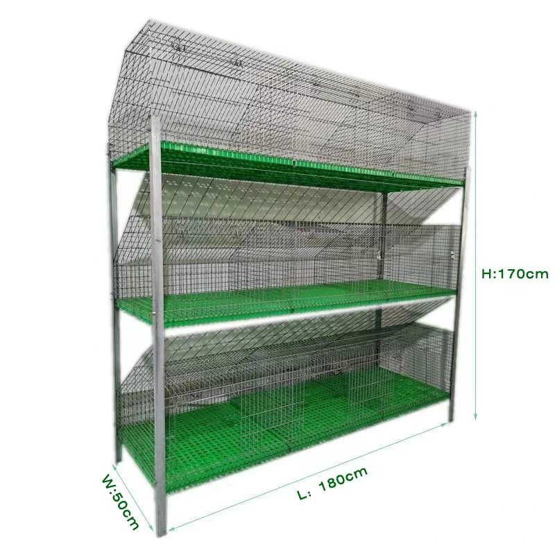 Cage de lapin spécial pour l'élevage