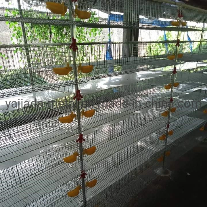 Poultry Famer Equipment Bird Cage for Quail