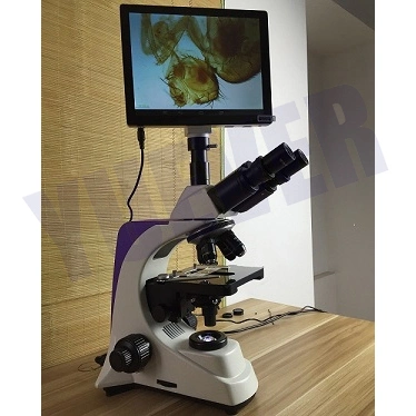 Yuever Medical Professional Lab Equipment Biological Microscope Digital Cheap Price Microscopio Biologico