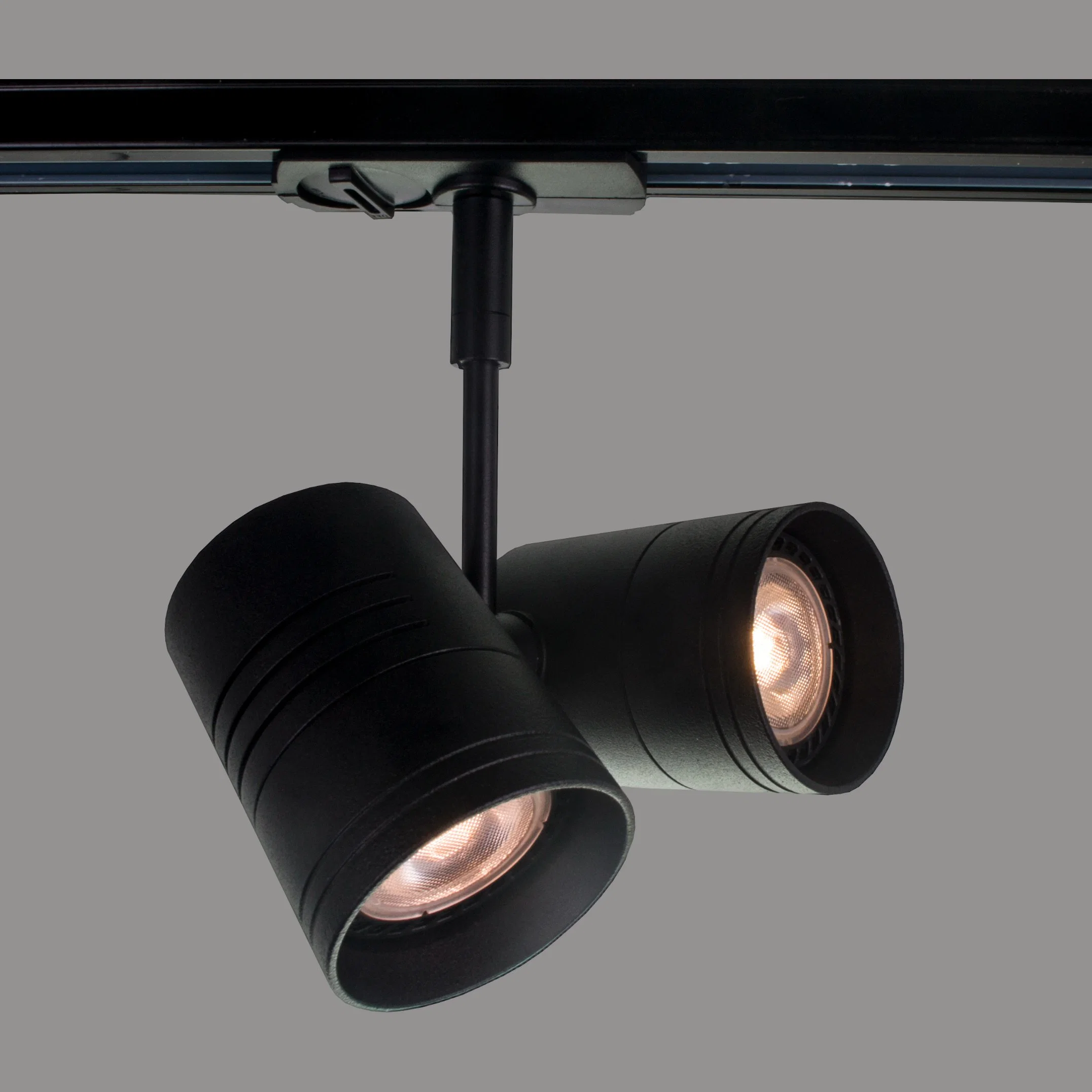 How Bright GU10 Adjustable Museum Spotlight Double Head Track Light for Gallery and Restaurant