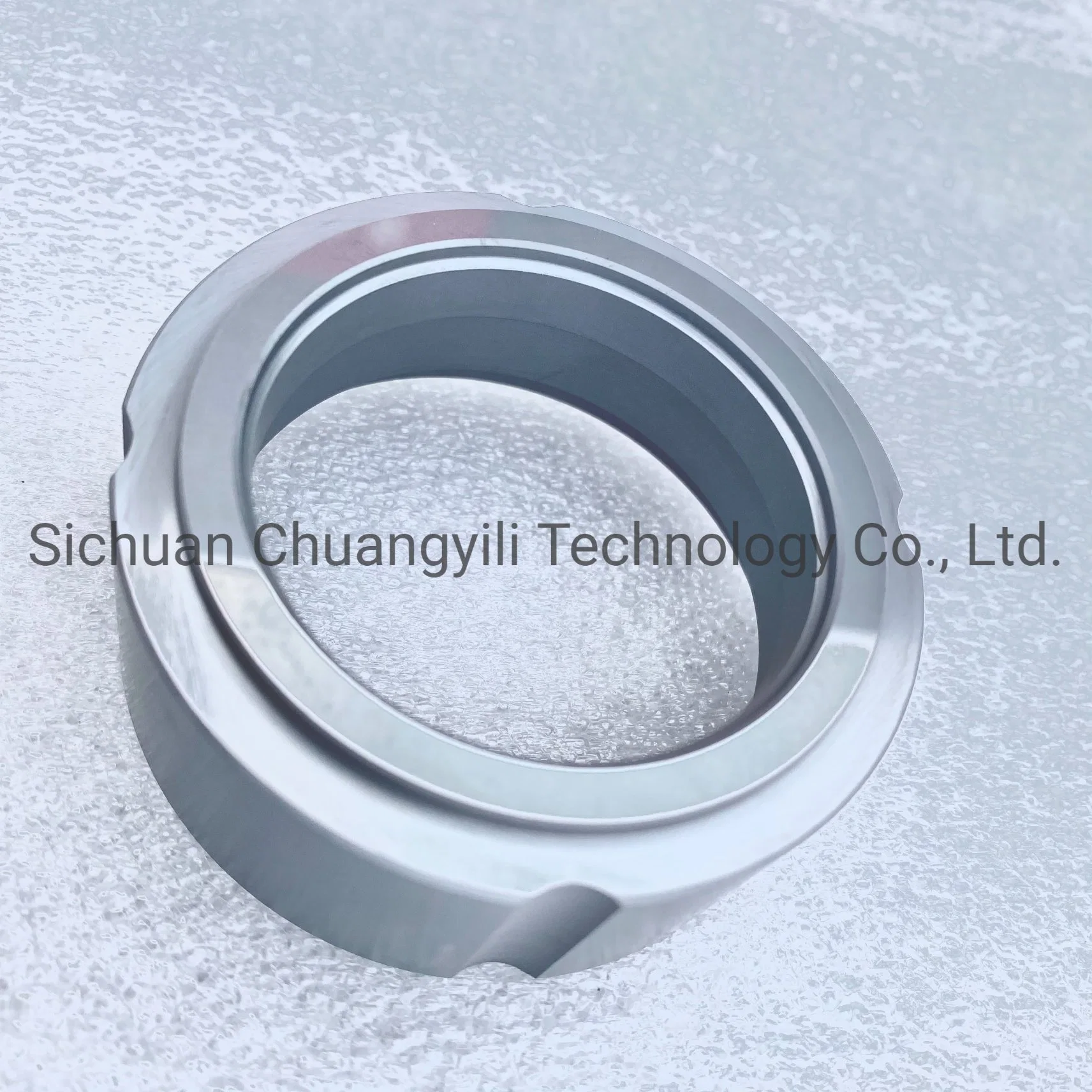 Mechanical O Ring Seal Ring Ssic Silicon Carbide Ceramic for Oil Pump