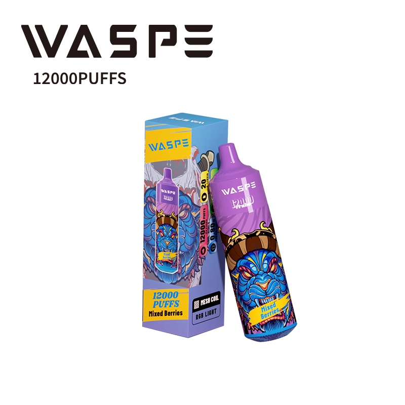 Original Factory Wholesale/Supplier 12000 Puffs 20ml 2% 5% Nic Salt Disposable/Chargeable Vape