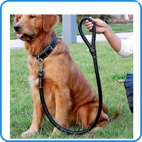 Luxury Pet Supply Large Leather Dog Leash Lead Factory