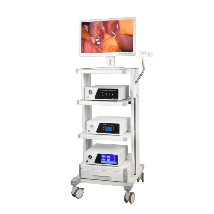 Cystoscopy Urology Endoscope Hospital Equipment