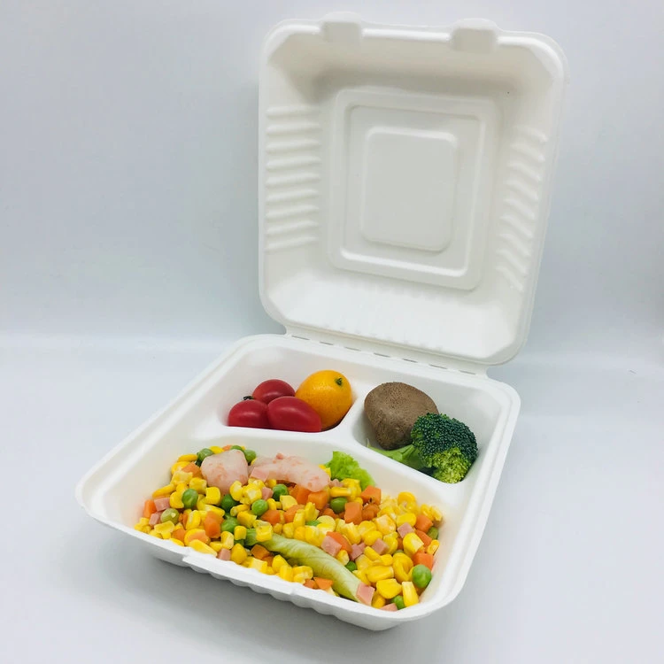 Wholesale/Supplier 3 Compostable Custom Logo Paper Bagasse Lunch Box