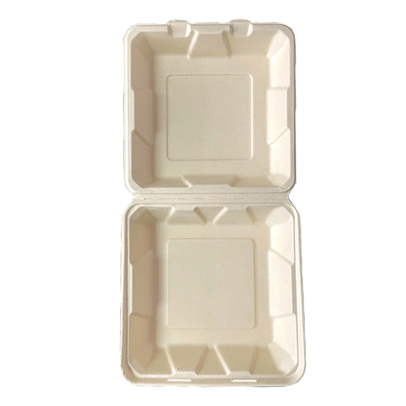 Paper/Packing/Storage/Packaging Biodegradable Eco Pulp Packaging Box Disposable Paper Food Container