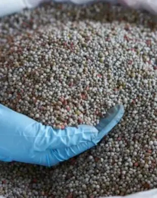 Fertilizante de fósforo de diamonio granular agrícola DAP