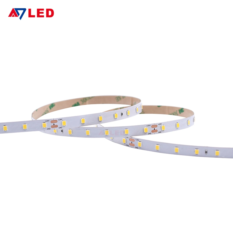 Led haute Lumen 728mm 3W/M SMD2835 5M Strip Light LED souples à intensité réglable