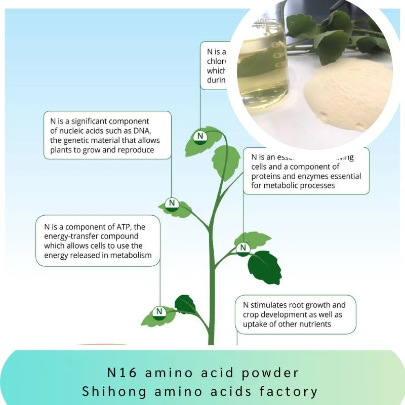 Polvo de aminoácido 65072-01-7 N16 sin cloruro aprobado por Omri