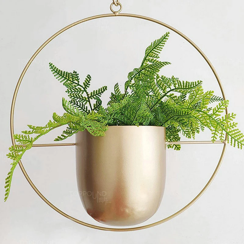 Etal Hanging Planters with 6" Pot (Detachable) + Hook + Chain Hanging Planters Indoor, Modern Wall & Ceiling Planters,