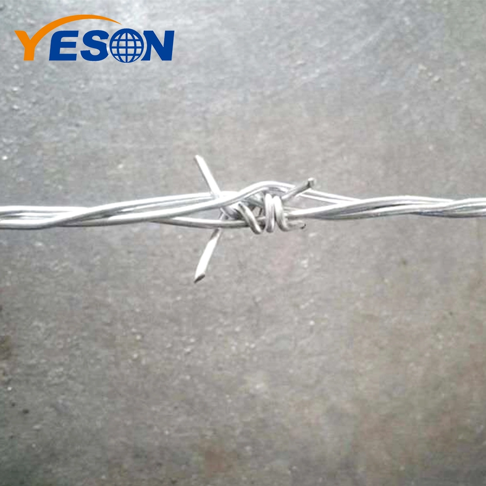 Metal Single and Double Barbed Wire Galvanized Wire with 2 Stranded Wires