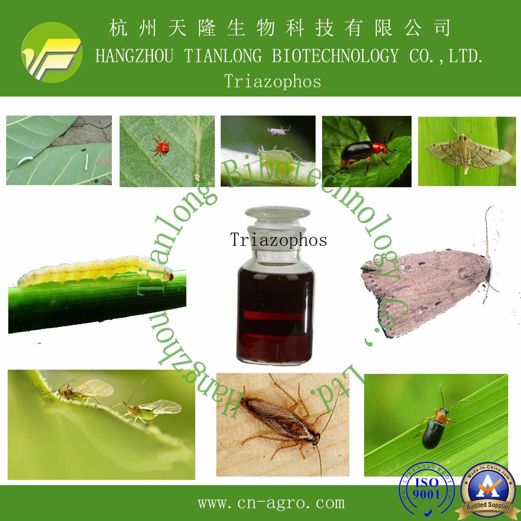 Insecticide Triazophos 85%TC CAS 24017-47-8