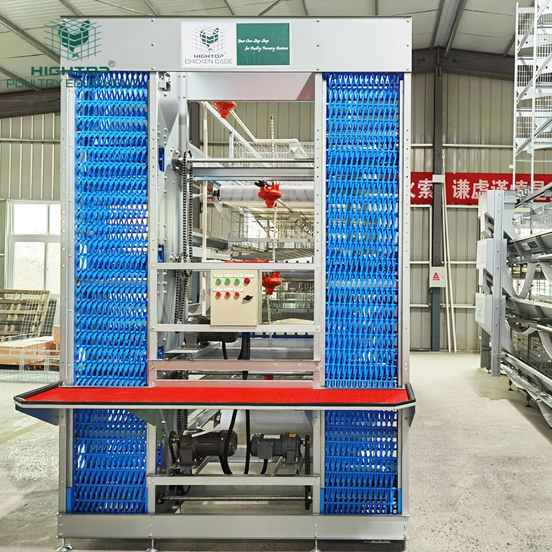 Galvanizado Tipo H automática de la cría de aves de jaula de pollo con sistema de control automático