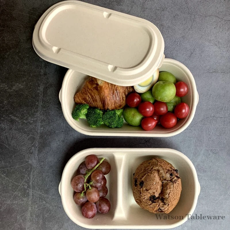 Biodegradable Natural Food Packaging Bagasse Food Container Oval Salad Tray with Lid