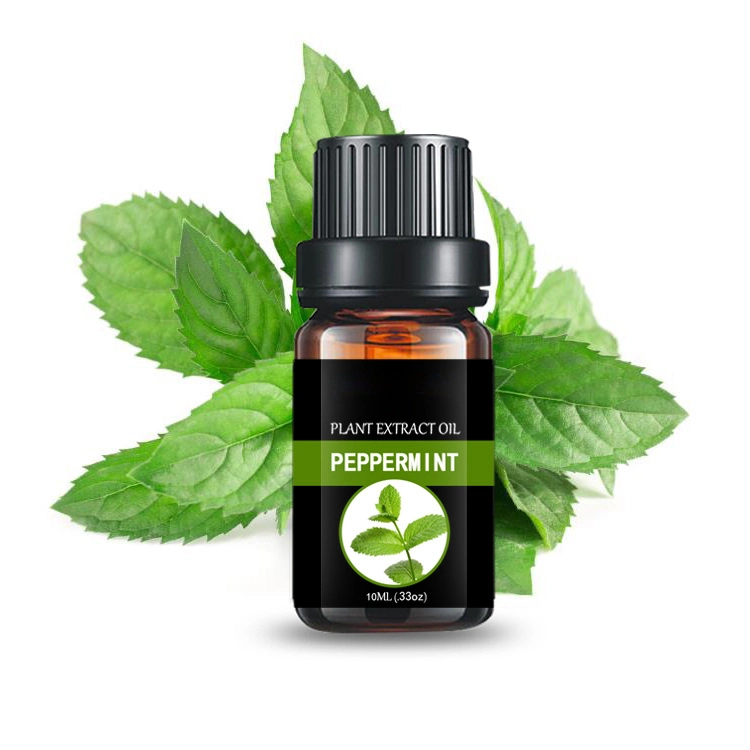 Wholesale/Supplier Peppermint Essential Oil Manufacturer and Exporter