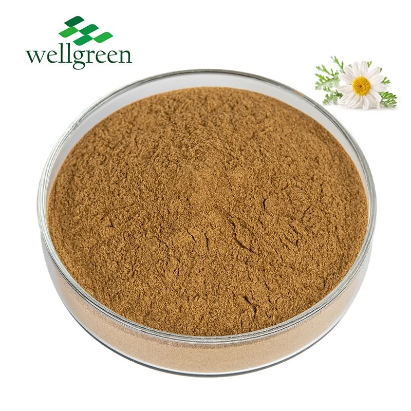 Dried Tea Flower Seeds Price Powder Harvest Extract Artificial Flowers Camomile Blue Organic Chamomile