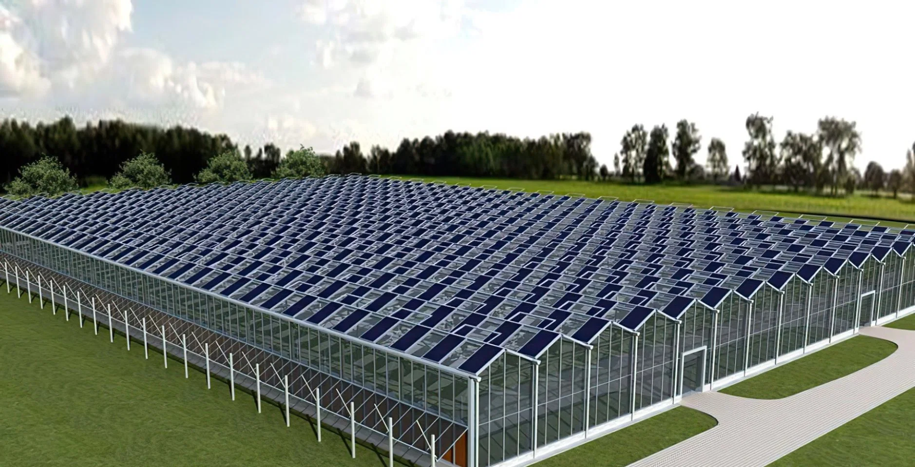 Schatten Netz Gewächshaus Gewächshaus mit Gewächshaus Hydroponics System