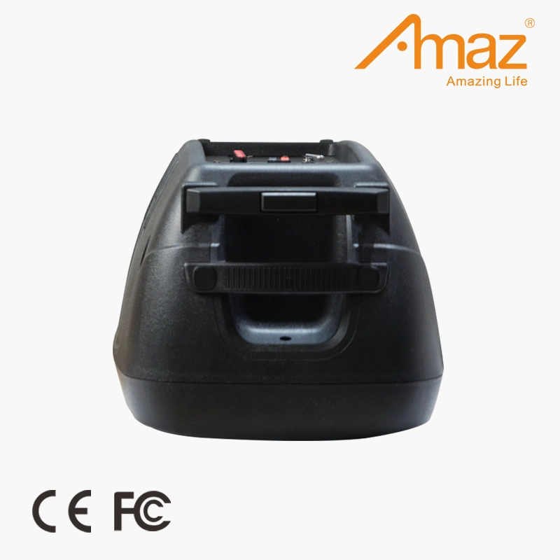 Amaz Original Factory Wholesale/Supplier Price 12 Inch Wireless Bt Speaker Trolley Speaker for Party