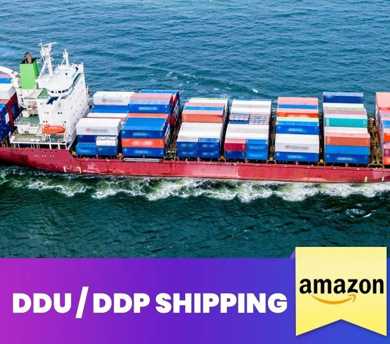 China Cheap and International Sea Freight Shipping Forwarding Agent in Shenzhen to USA Canada UK Italy Mexico Germany France DDP