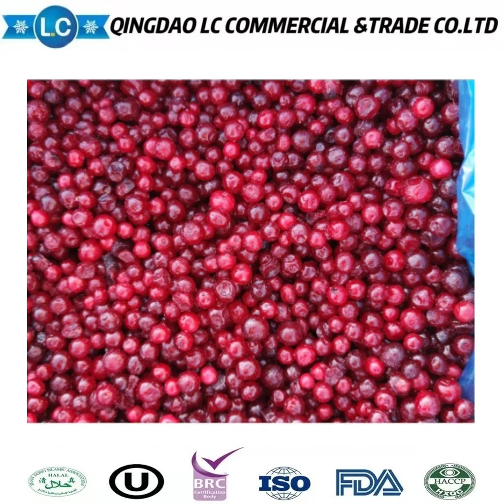 China Frozen Fruit Frozen Wild Lingonberries