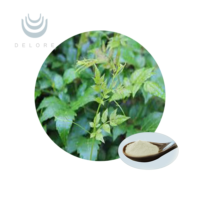 Herbal Vine Tea Extract Dhm Dihydromyricetin 98% Powder CAS: 27200-12-0