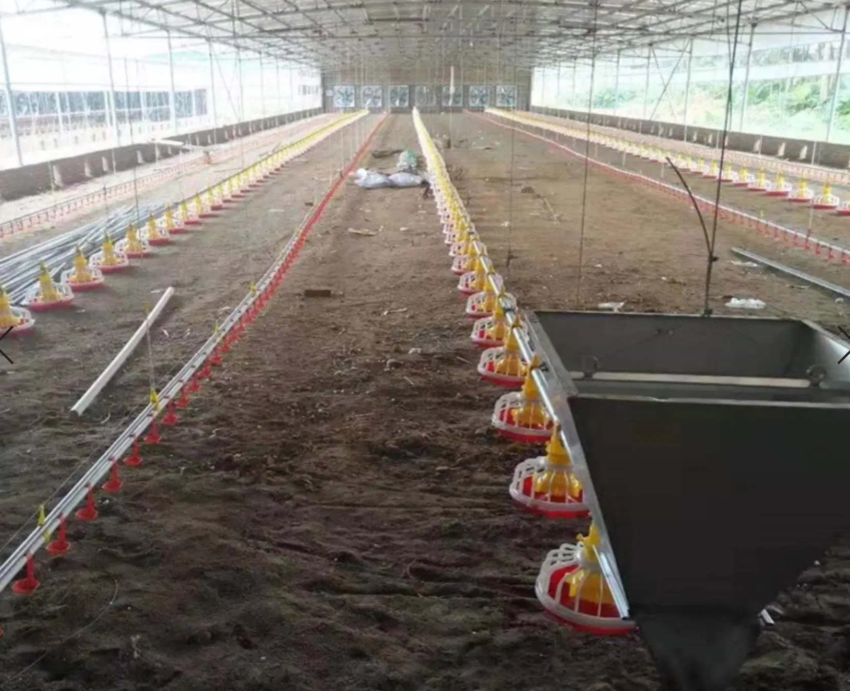 Automatic Chicken Farm Poultry Cage System Hot Galvanized /Battery Layer Poultry Cage for Broiler/Poultry Farm