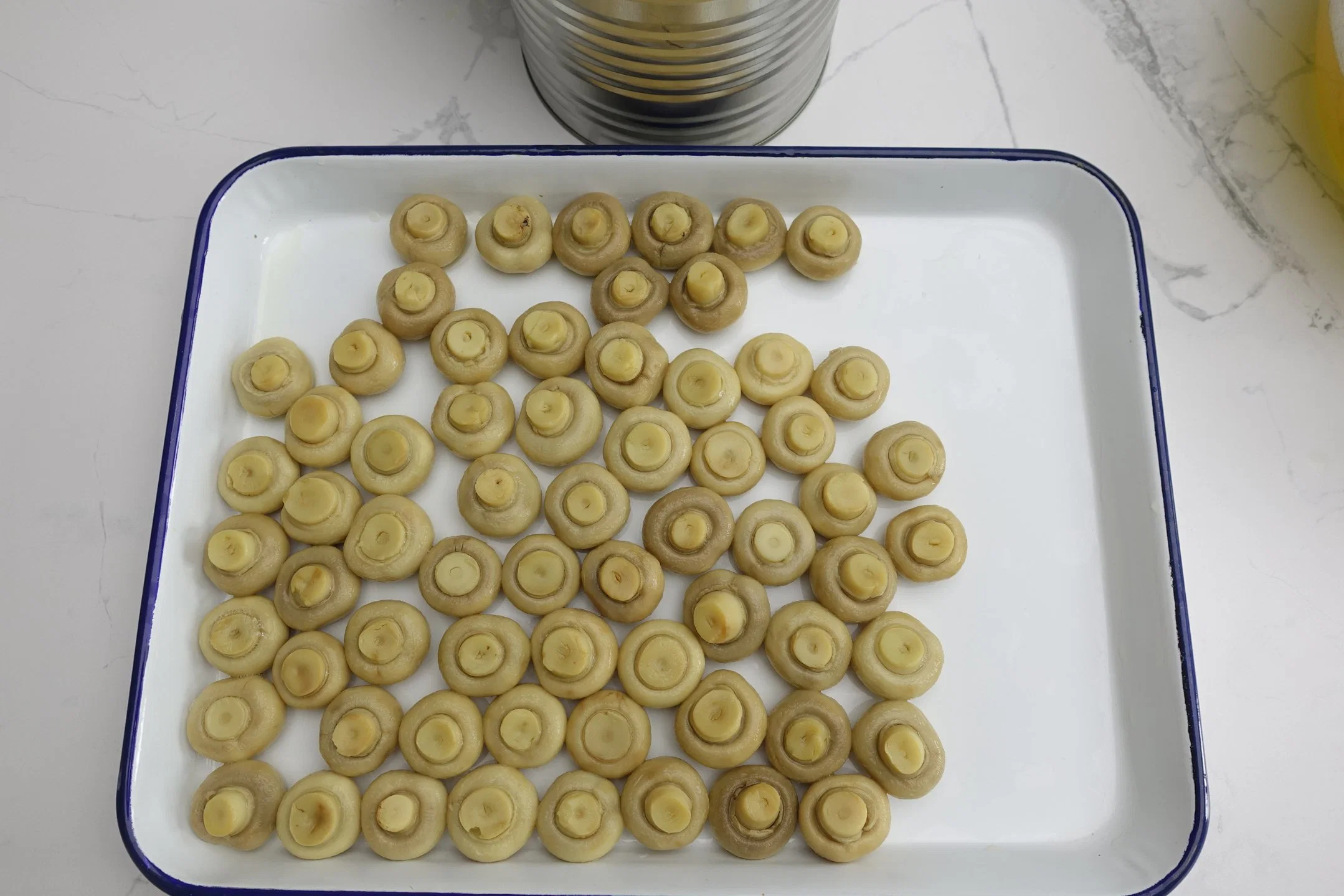 Canned Champignons Whole Mushroom for Catering